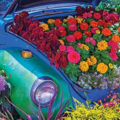 Budget 😀 Springbok 500 Pieces Garden Bug 😀