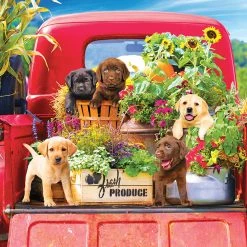 New 🛒 Kodak 1000 Pieces Stowaways 🤩