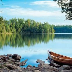 Promo ⌛ Cobble Hill 1000 Pieces Nature's Mirror ⌛