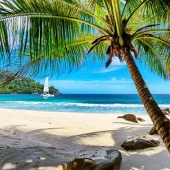 Discount 👏 Wooden City 505 Pieces Paradise Island Beach 🎁