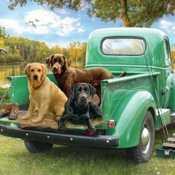 Cheapest ๐ Cobble Hill 500 Pieces Let's Go Fishing ๐