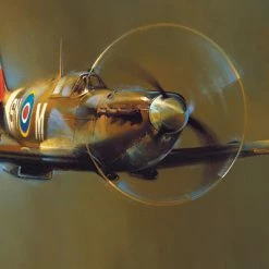 Discount 🥰 Eurographics 1000 Pieces Spitfire 🤩