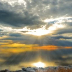 Cheap 👏 SunsOut 500 Pieces Cast Your Net 🌟