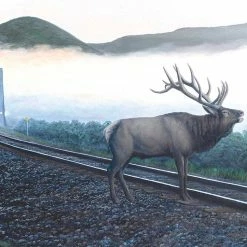 Best reviews of 😍 SunsOut 550 Pieces Elk Tracks 👍