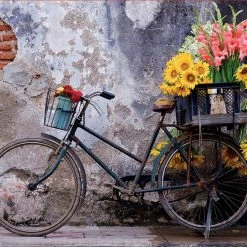 Flash Sale ๐ Educa 500 Pieces Bicycle With Flowers ๐งจ