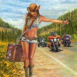 Deals 🧨 Anatolian 1000 Pieces American Gypsy 🛒