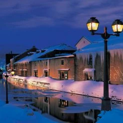 Best deal ๐งจ Tomax Puzzles 1000 Pieces Otaro Canal At Night, Japan ๐