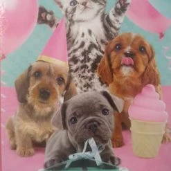 Brand new ✔️ Surelox 500 Pieces Party Time 😉